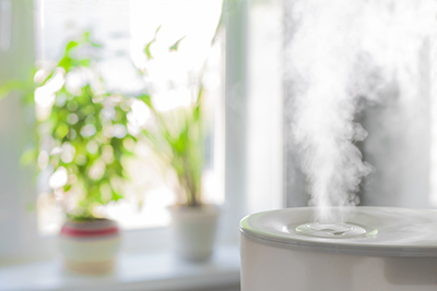 Trusted Service for Humidifiers